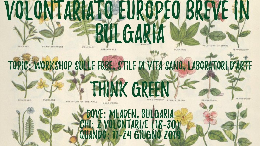 Volontariato Europeo Breve in Bulgaria