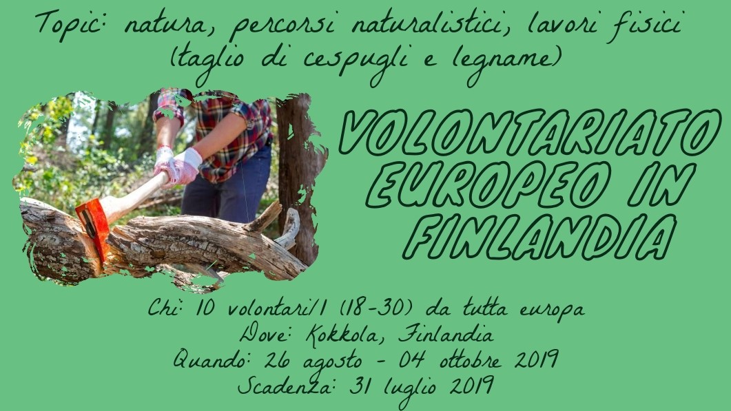 Volontariato Europeo Breve in Finlandia