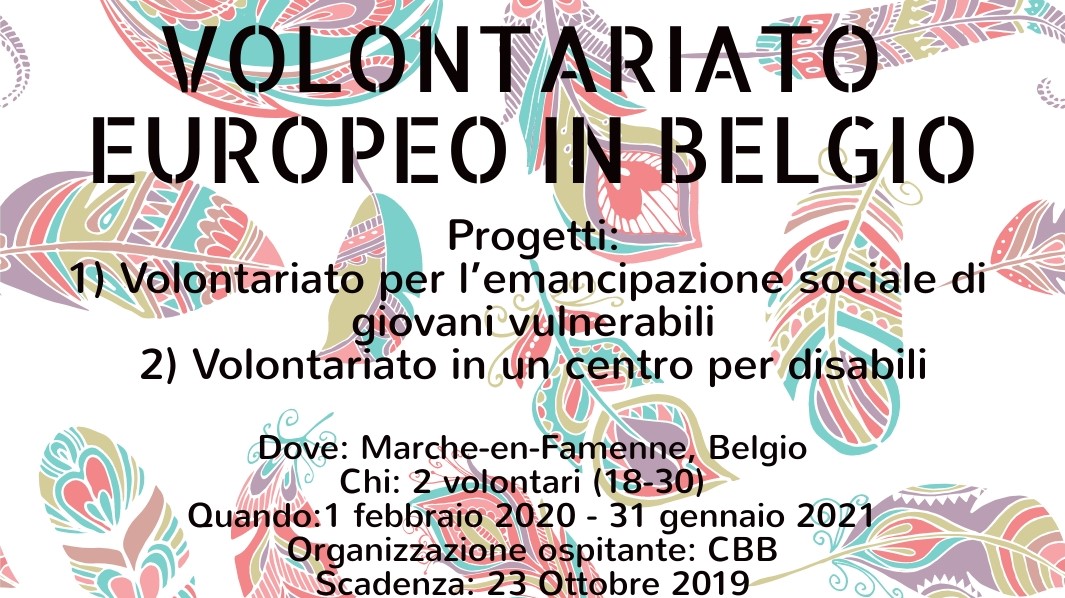 Volontariato Europeo in Belgio