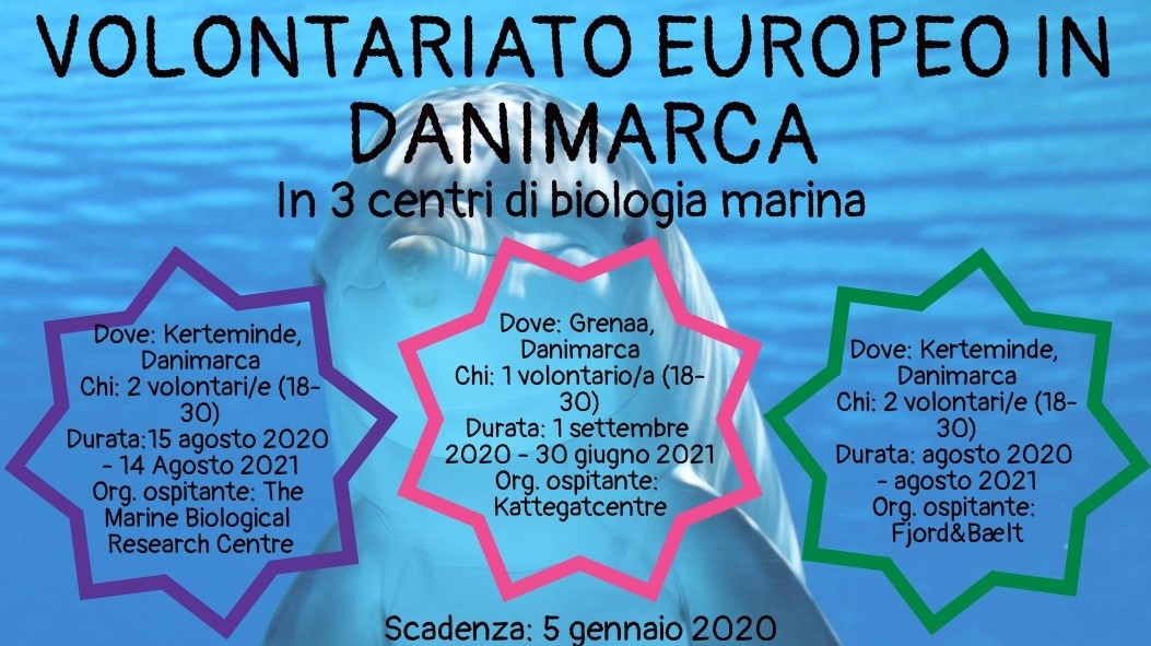 Volontariato Europeo in Danimarca