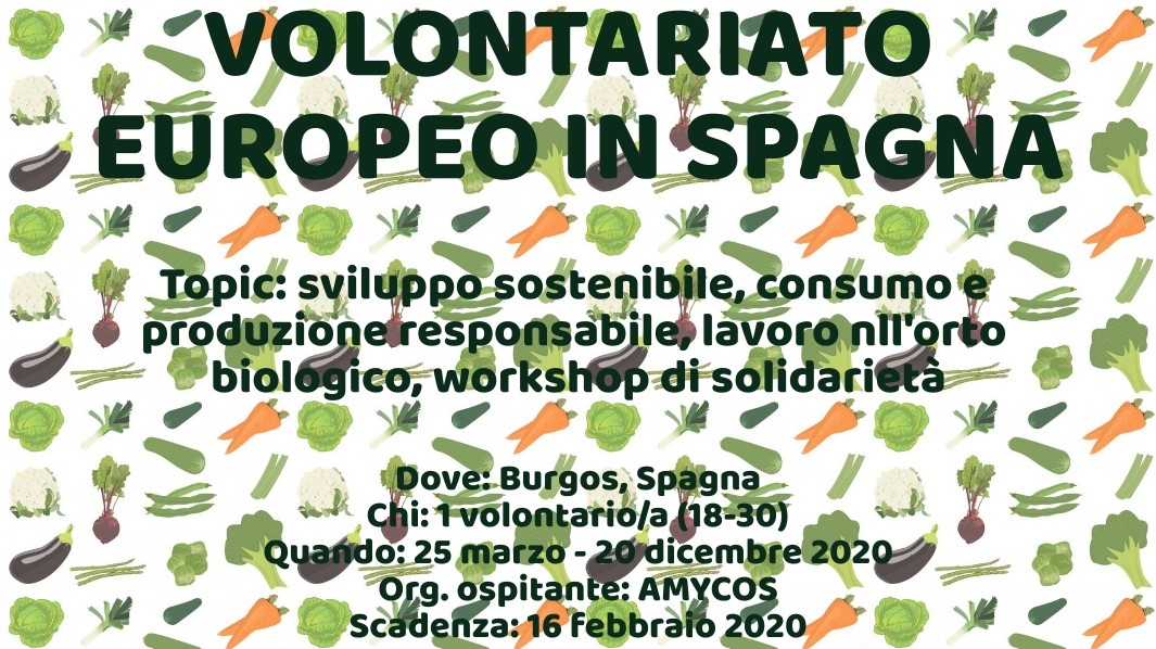 Volontariato Europeo in Spagna